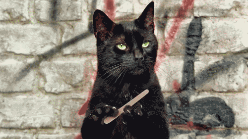 serious?.gif